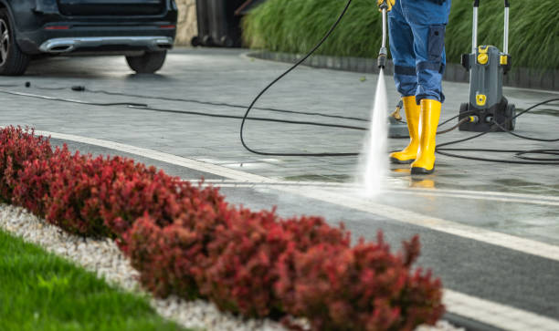Best Local Pressure Washing Services  in Golden Gate, FL
